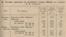 Жимолість їстівна - опис, посадка та догляд, ґрунтово-кліматичні умови жимолість
