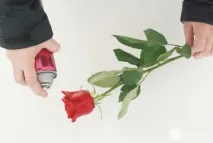 12 незвичних, але корисних застосувань лаку для волосся корисних