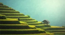 7 кроків до улюбленої роботи від Барбари Шер улюбленої