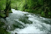калуги