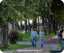 Алергія на тополиний пух, СЕКРЕТИ ДОМОВОГО алергія