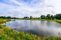 Білоукраїнський бізнесмен викупив та відродив глухе село викупив