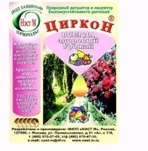 Калатея - дивина з тропіків Калатея