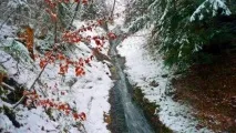 замку