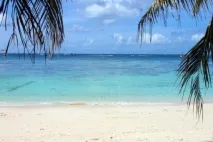 Ціна