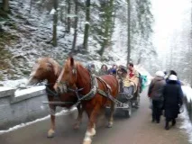 Замок Нойшванштайн