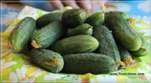 капусти