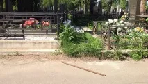 Битва за Хованщину хто і чому влаштував масову бійку на цвинтарі - РИА Новости влаштував