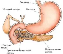 Болі в шлунку - лікування, причини, народні засоби причини