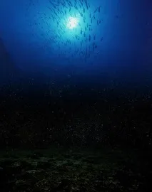 біолюмінесценція