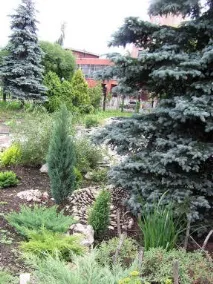 Ботанічний сад Пермського університету пермського