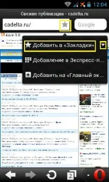 Браузер Opera Mini для Android mini