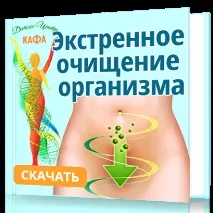 Часник Без Запаху Garlic