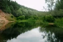 Що в імені тобі моєму - РІА ТОП68 Берда