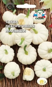 Декоративний гарбуз - Домашні квіти домашні
