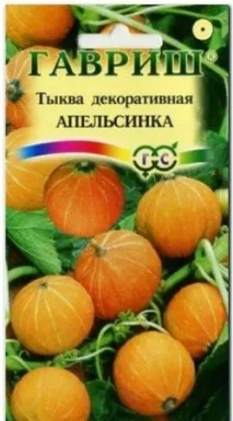 Декоративний гарбуз - Домашні квіти домашні
