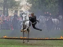 День республіки куди сходити і що подивитися. подивитися