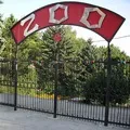 Дикий звір - пошук слів за маскою та визначенням, відповіді на сканворди звір