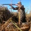 Дикий звір - пошук слів за маскою та визначенням, відповіді на сканворди пошук