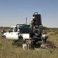 Дикий звір - пошук слів за маскою та визначенням, відповіді на сканворди пошук