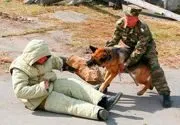 Дмитров - Кінологічний розплідник Дмитров