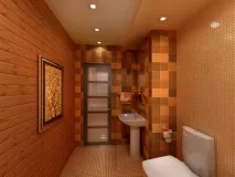 Дизайн інтер’єру туалетів (санвузлів) у квартирах та будинках 150 HD фото інтер