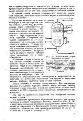 голямата