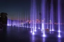 місця