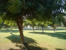 Визначні місця Шарджі (фото), Шарджа, ОАЕ все про емірат, відгуки, фото місця