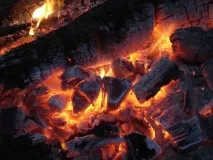 Деревна зола в акваріумі деревна