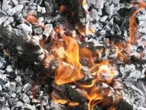 Деревна зола в акваріумі деревна