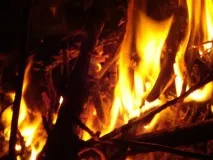 Деревна зола в акваріумі зола