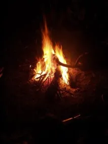 Деревна зола в акваріумі деревна