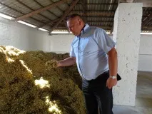 Єдине господарство, що спеціалізується на вирощуванні лікарських трав, просить підтримки єдине