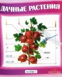 Електронні ресурси з ландшафтного дизайну ресурси