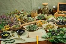 Фітотерапія у стоматології рослини на варті здоров’я порожнини рота фітотерапія