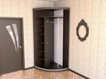 Фото шаф-купе у передпокої передпокої