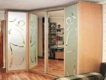 Фото шаф-купе у передпокої передпокої