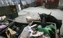 Гори проти рівнини - 18 Травня 2011 - Шлях дарго рівнини