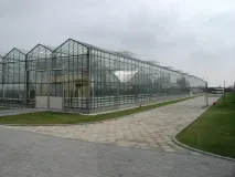 Готуємо теплицю до експлуатації готуємо