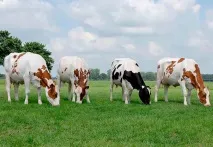 союз-агро