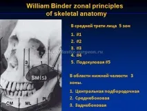 Гур’янов Андрій Станіславович - Імпланти середньої зони обличчя янов