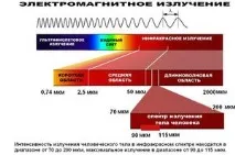 видове