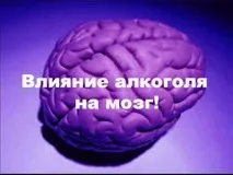 мозок