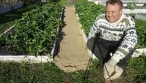 Як зробити, щоб у проходах між грядками трава не росла проходах