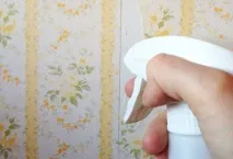 Як зняти старі шпалери без зайвих зусиль старі