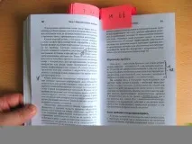 Як стати розумним палі тему, Бізнес Ідеї від 0 до прибутку тему