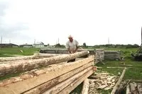 Як заготувати ділову деревину на будівництво чи ремонт - Сільський трудівник - Портал ЗМІ ділову