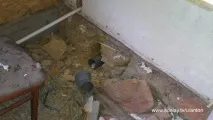 Каркасне будівництво або як ми добудовували ванну та передпокій (Багато фото), Зроби Сам будівництво