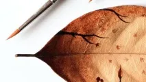 Як заробити на кави, Новини виробництва продуктів, харчування, торгівлі кави